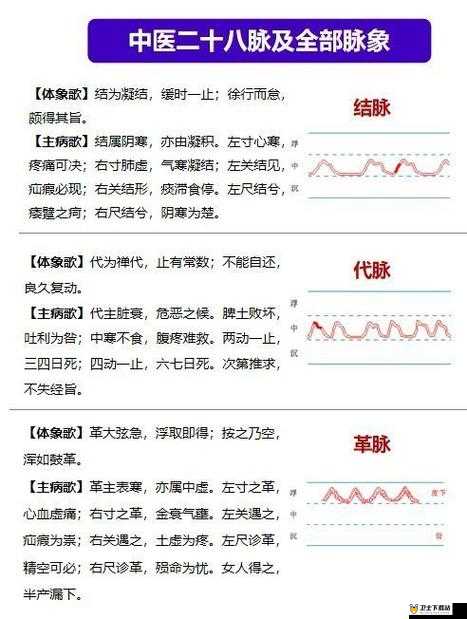 人在仙途经脉系统深度解析