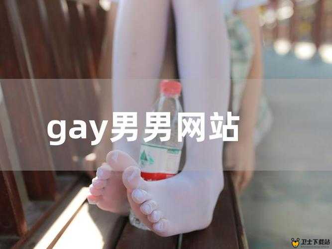 Gαy 男男 GAY 猛男：探索性取向与男性魅力的多元世界