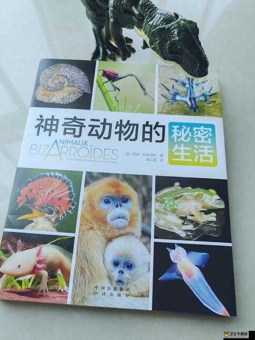 ZoomZookeeper 动物：探索奇妙动物世界的神奇之旅